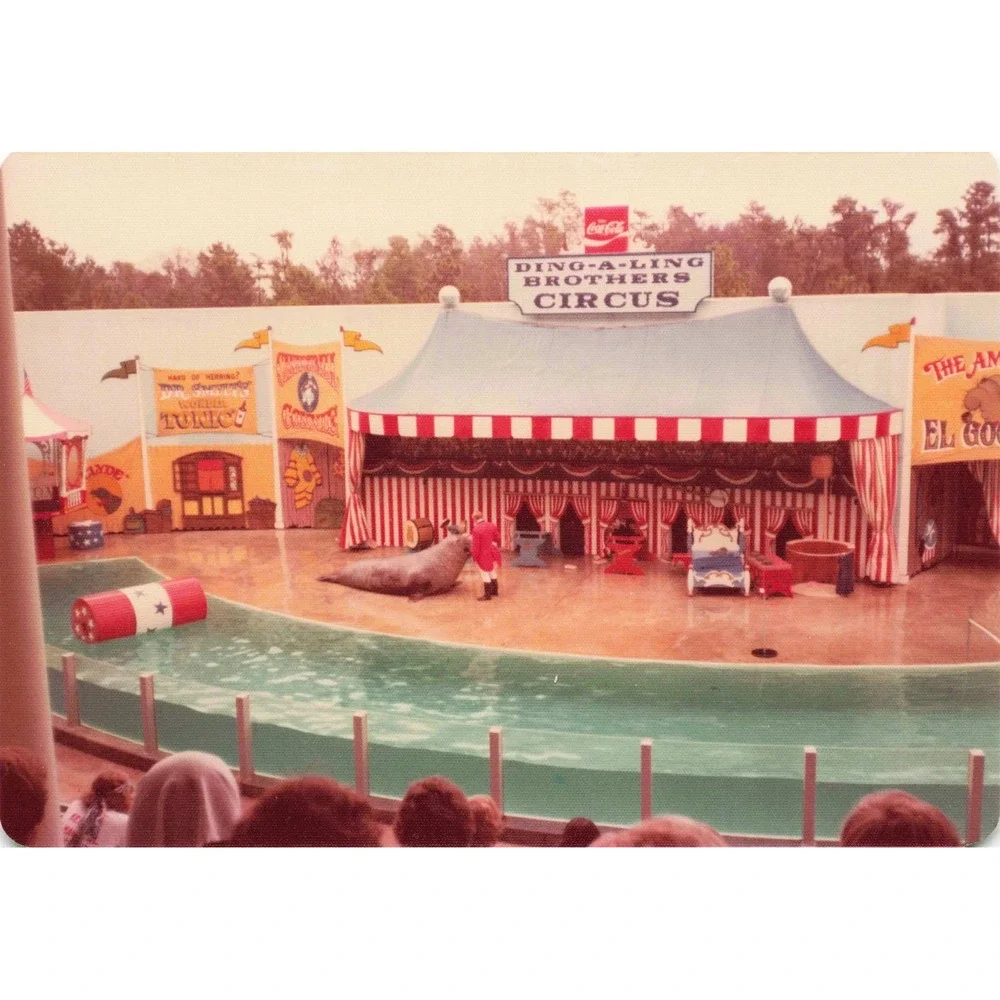Vintage 1970s Ding-A-Ling Brothers Circus Sideshow Seal Act Photos Lot of 4 - Picture 2 of 4